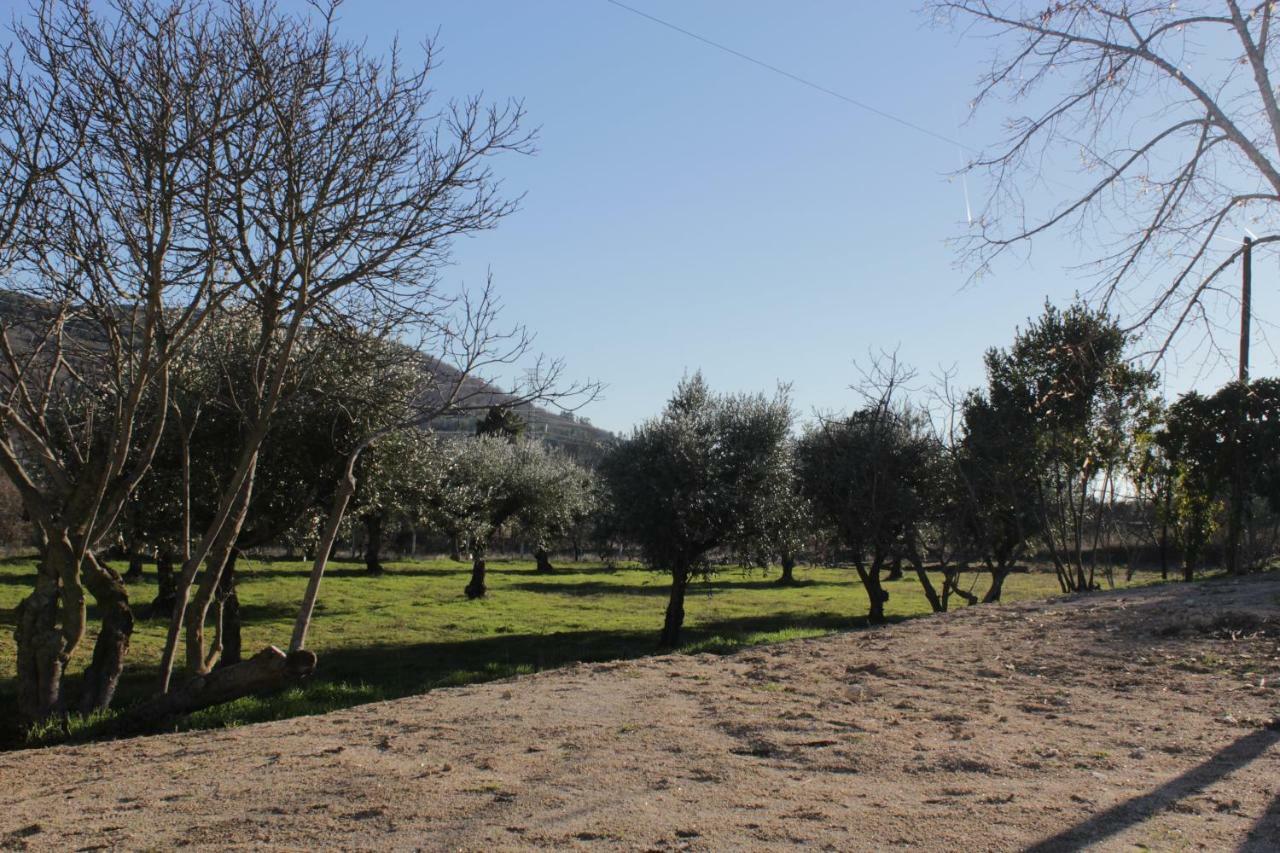 贝尔蒙特 Quinta Chao Do Nabal旅馆 外观 照片